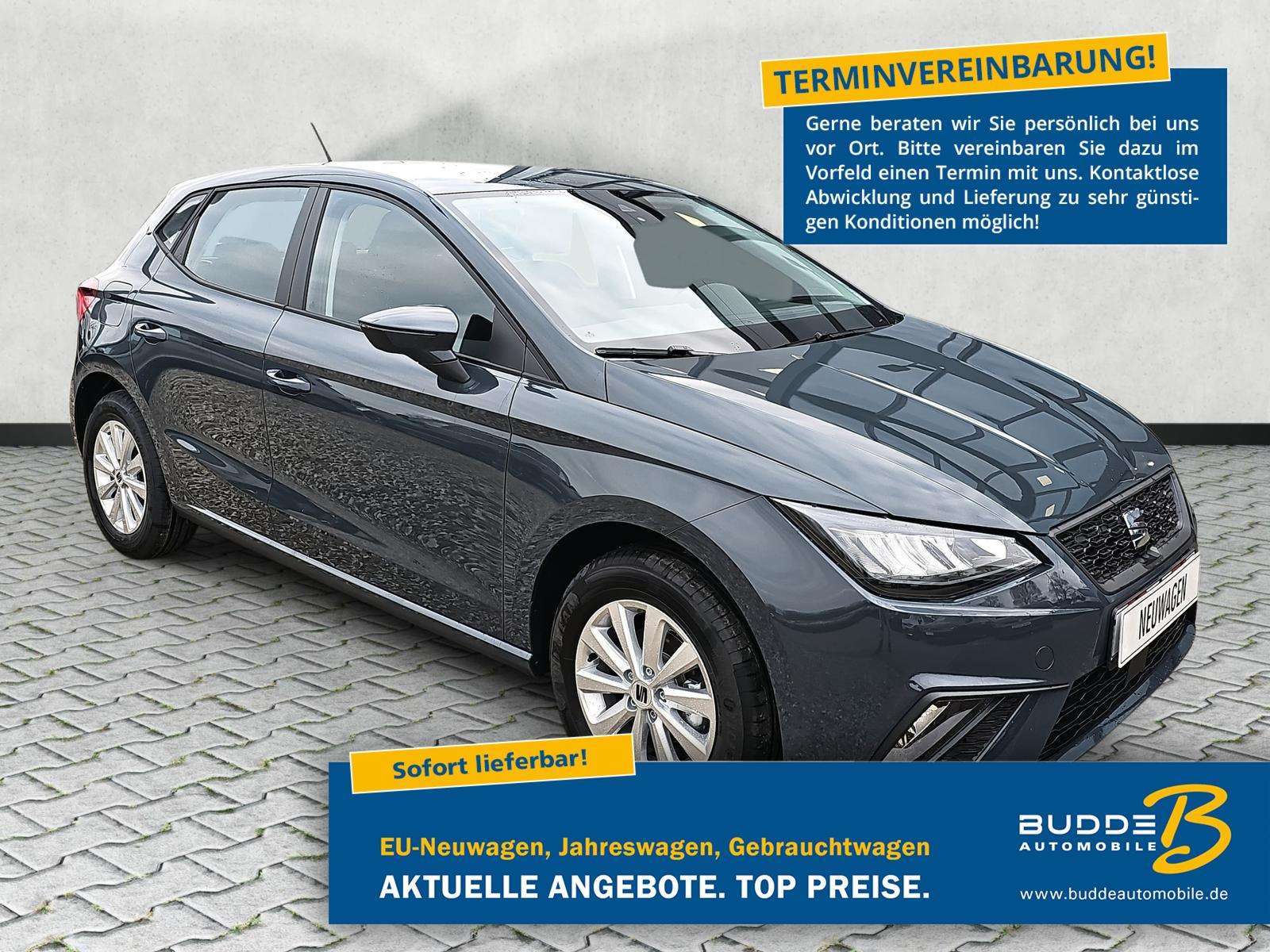 Fahrzeugbild eines SEAT Ibiza