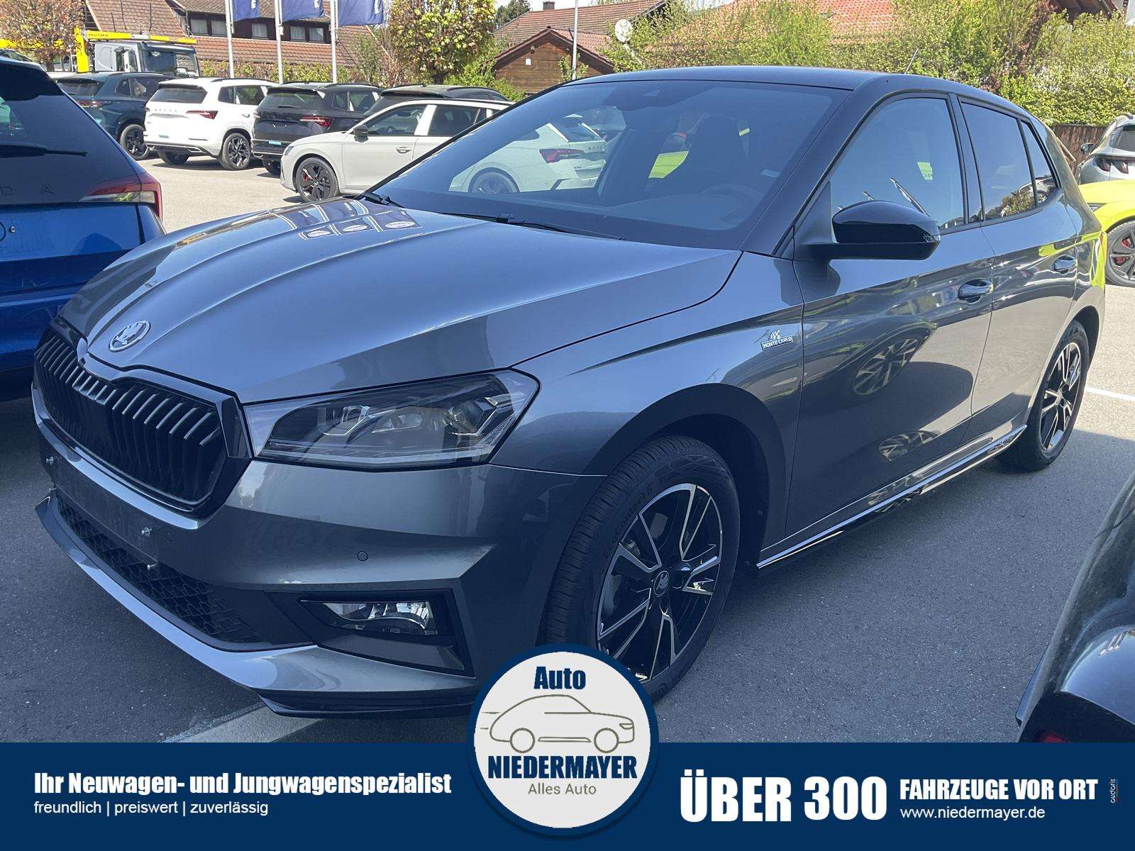 Fahrzeugbild eines Skoda Fabia