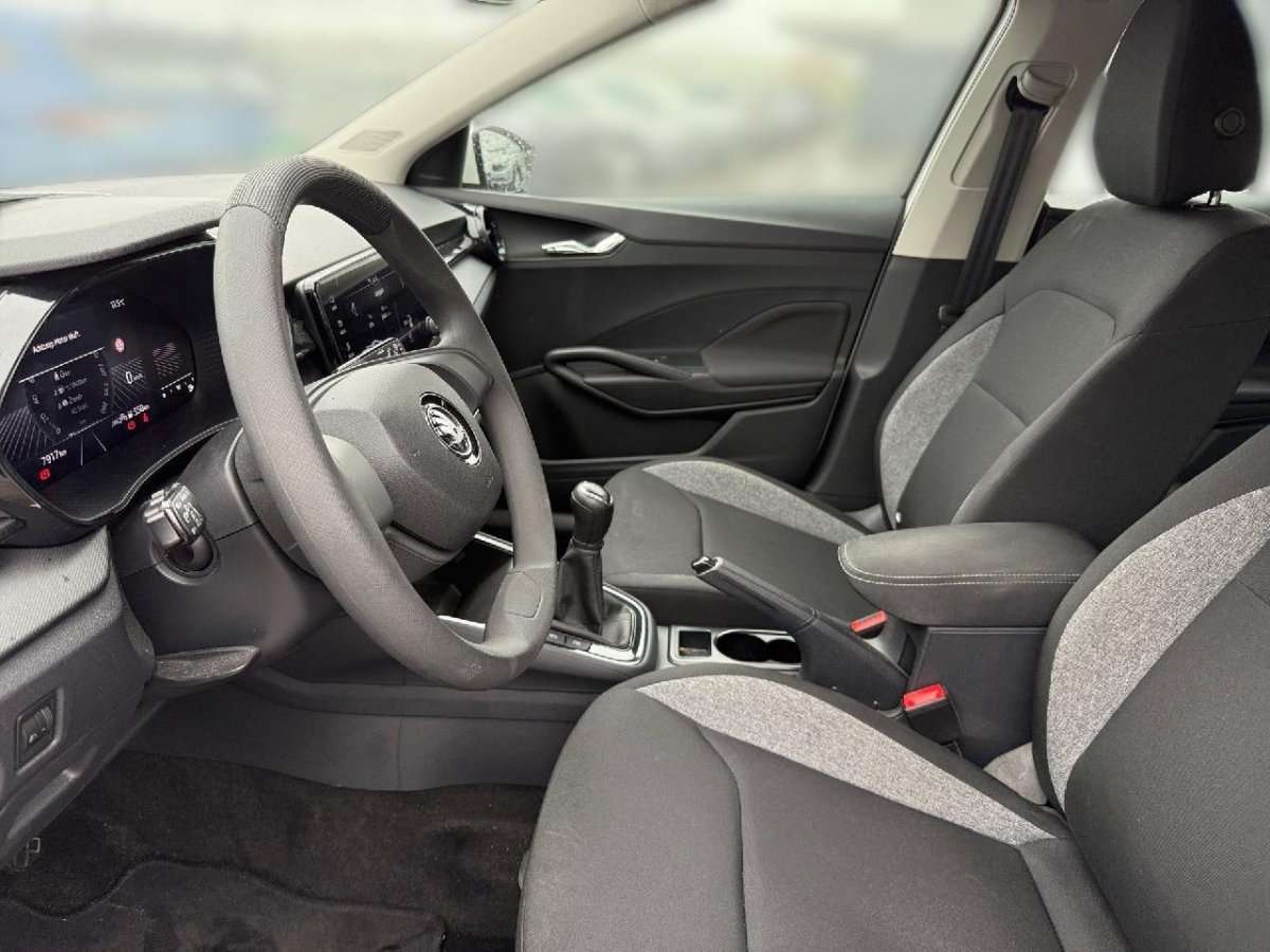 Fahrzeugbild eines Skoda Fabia