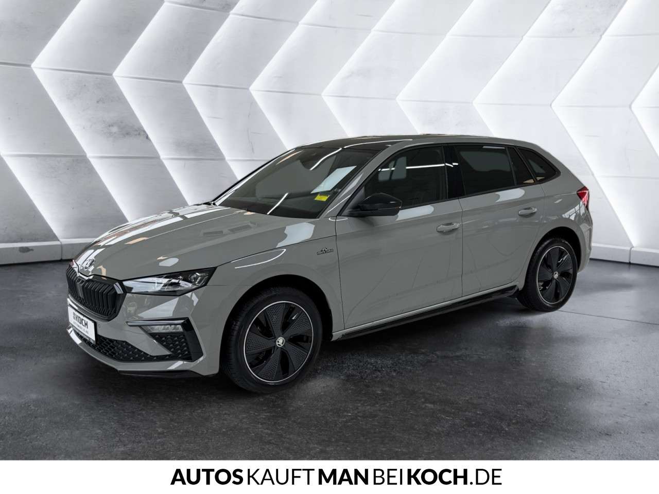 Fahrzeugbild eines Skoda Scala