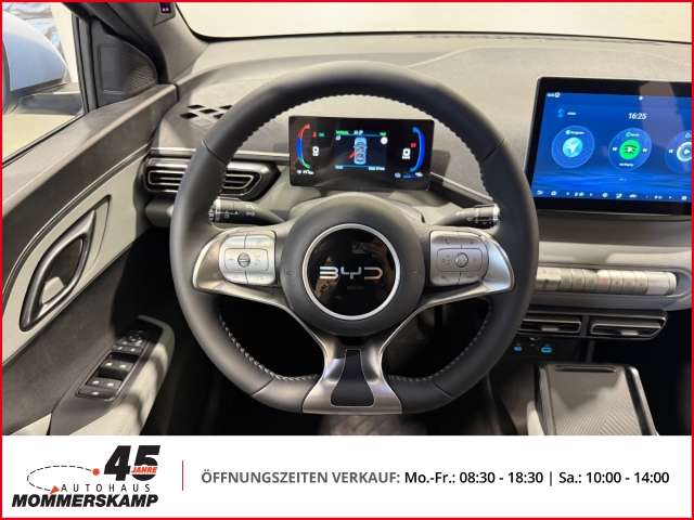 Fahrzeugbild eines BYD DOLPHIN