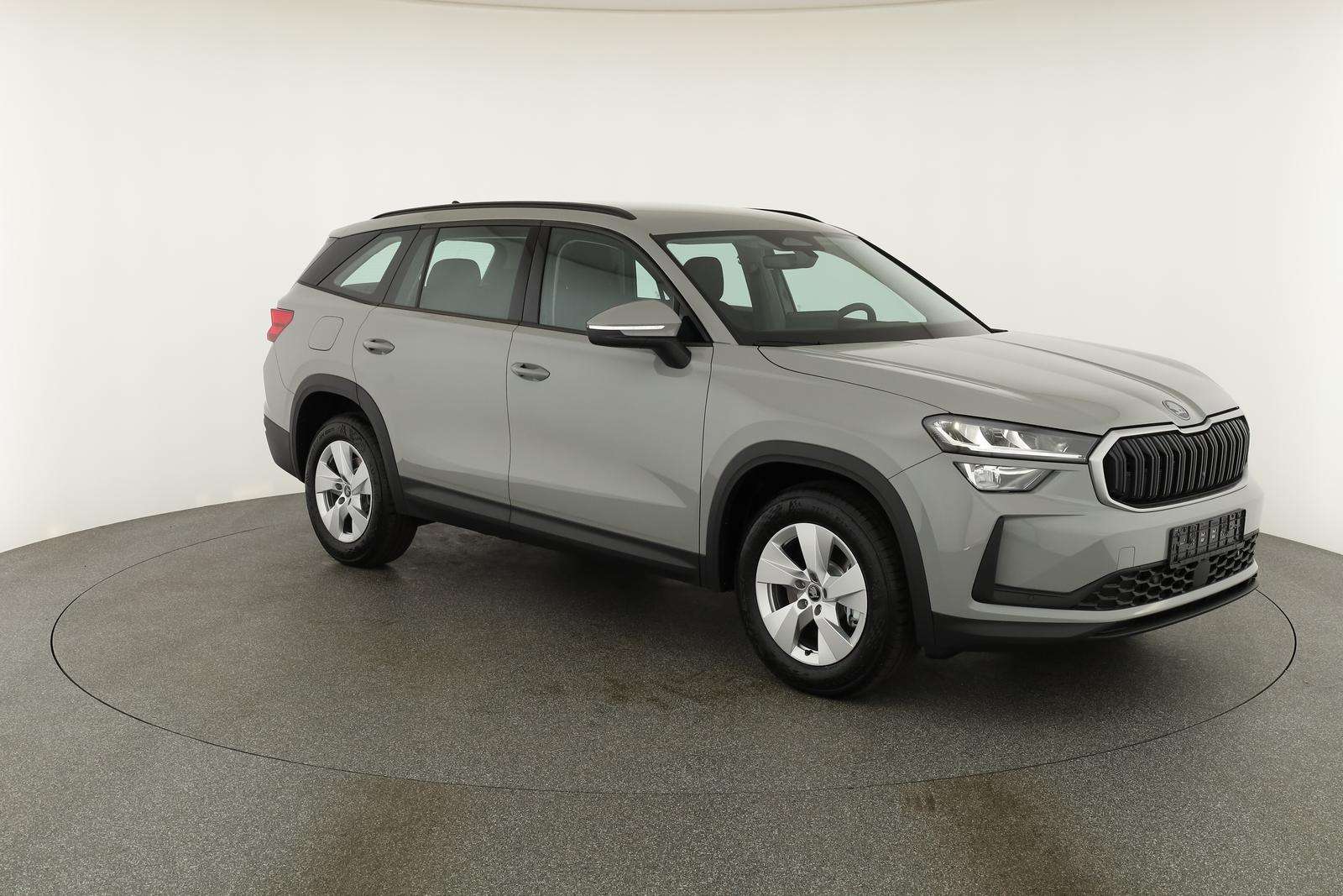 Fahrzeugbild eines Skoda Kodiaq