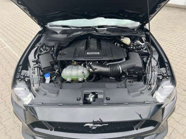 Fahrzeugbild eines Ford Mustang