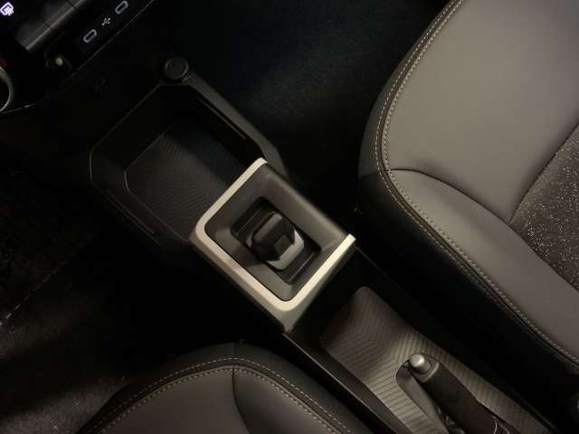 Fahrzeugbild eines Dacia Spring