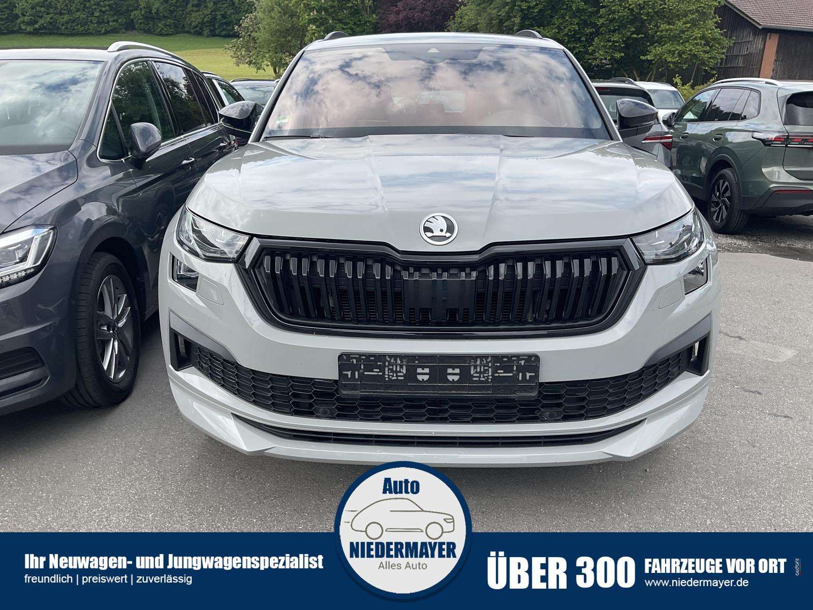 Fahrzeugbild eines Skoda Kodiaq