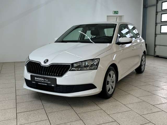 Fahrzeugbild eines Skoda Fabia