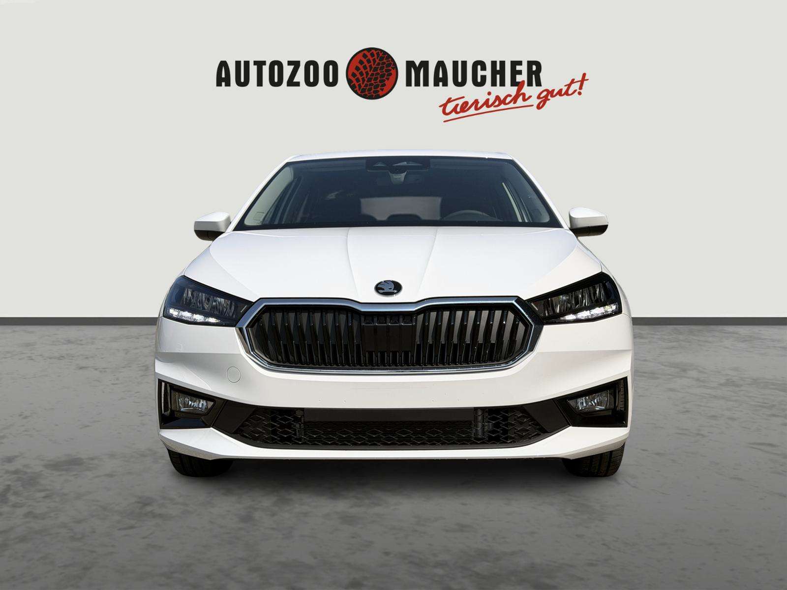 Fahrzeugbild eines Skoda Fabia