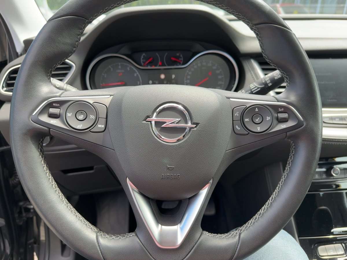 Fahrzeugbild eines Opel Grandland X