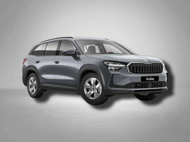 Fahrzeugbild eines Skoda Kodiaq