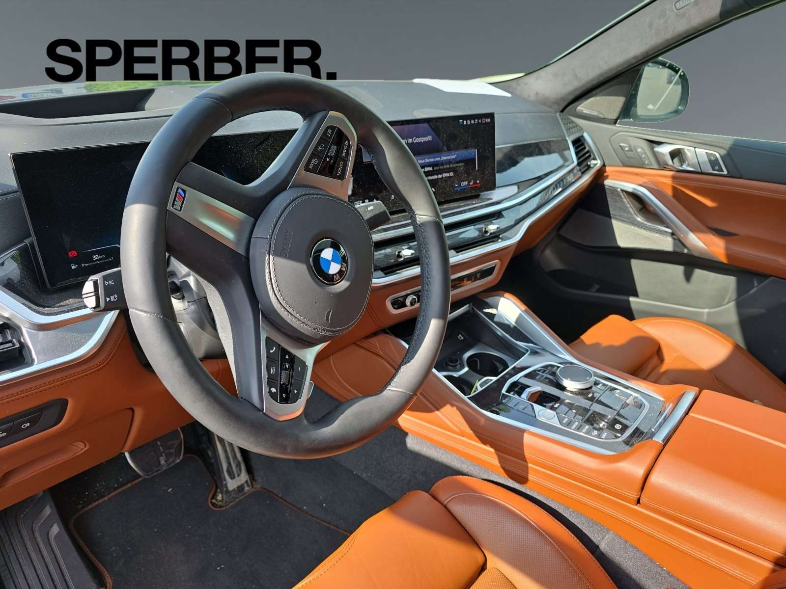 Fahrzeugbild eines BMW X6