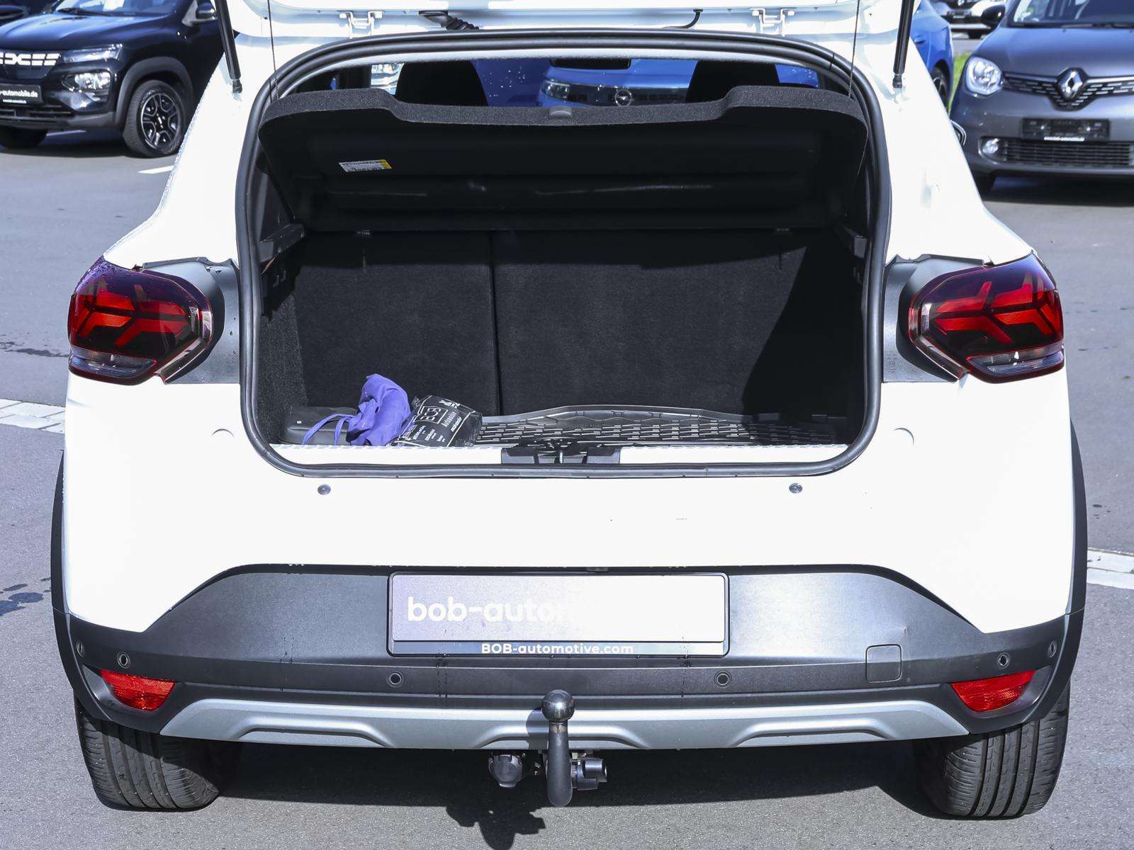 Fahrzeugbild eines Dacia Sandero