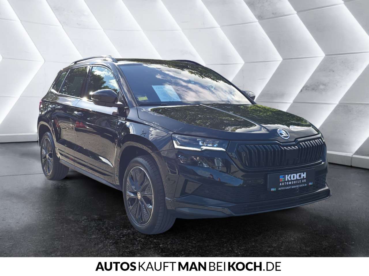 Fahrzeugbild eines Skoda Karoq