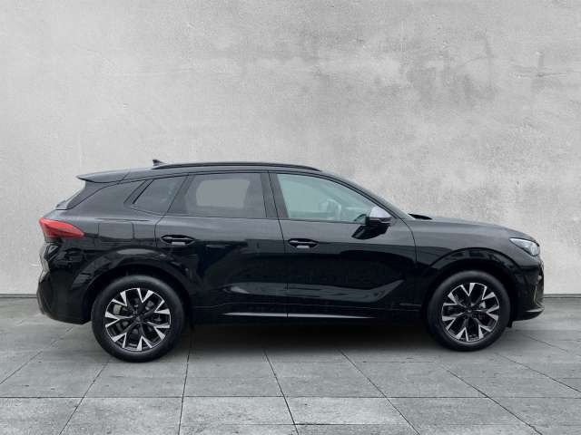 Fahrzeugbild eines CUPRA Terramar