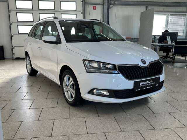 Fahrzeugbild eines Skoda Fabia