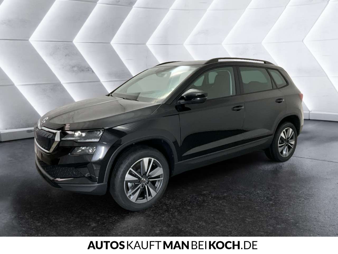 Fahrzeugbild eines Skoda Karoq