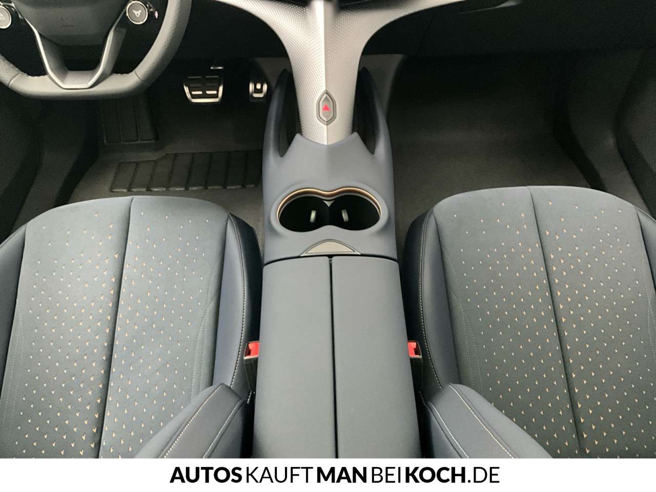 Fahrzeugbild eines CUPRA Tavascan