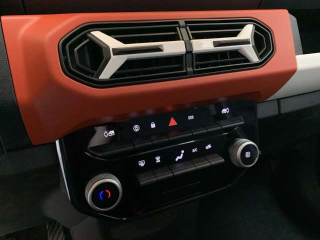 Fahrzeugbild eines Dacia Spring