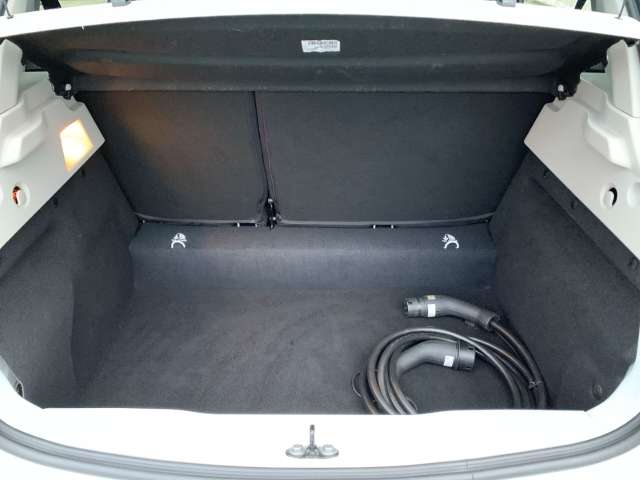 Fahrzeugbild eines Renault ZOE