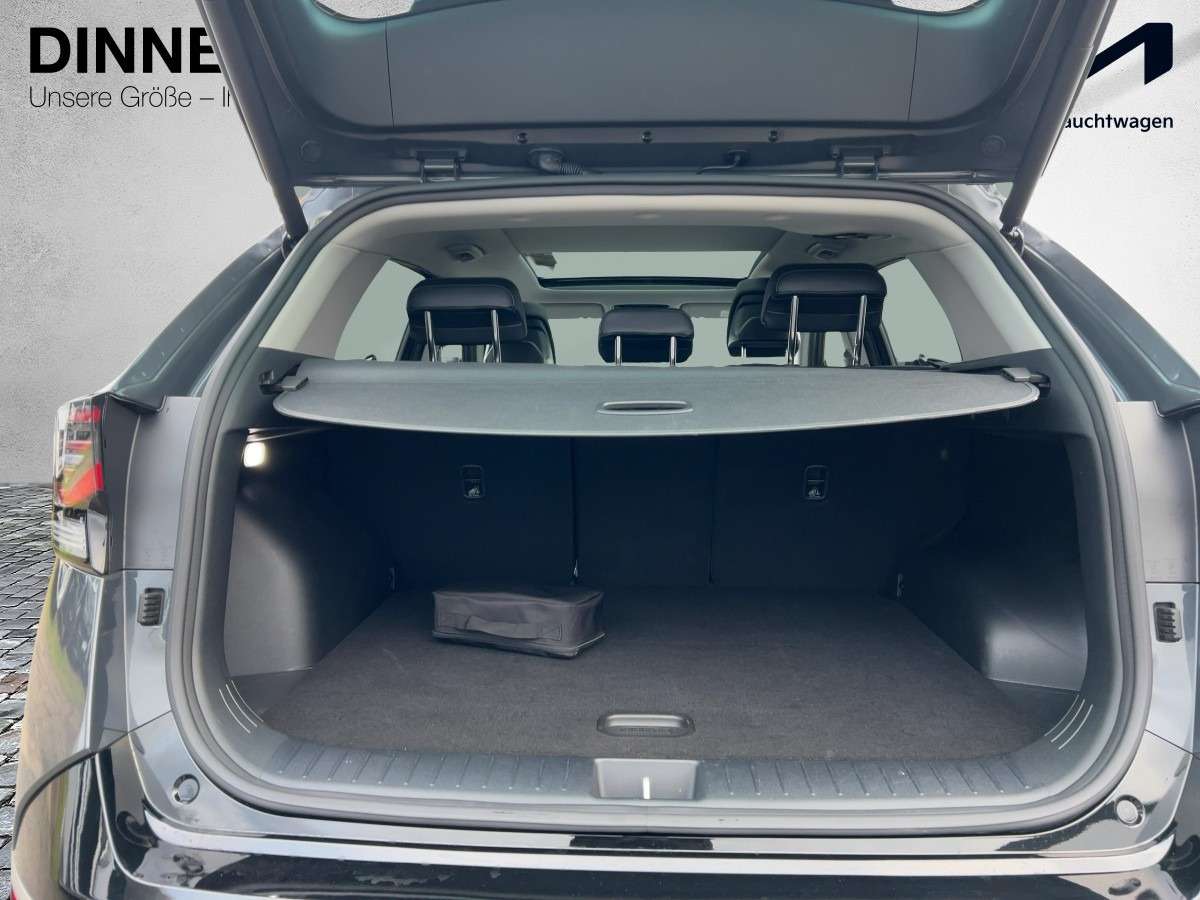 Fahrzeugbild eines Kia Sportage