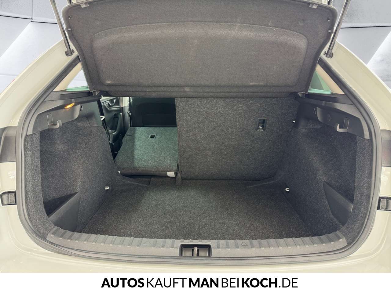 Fahrzeugbild eines Skoda Scala