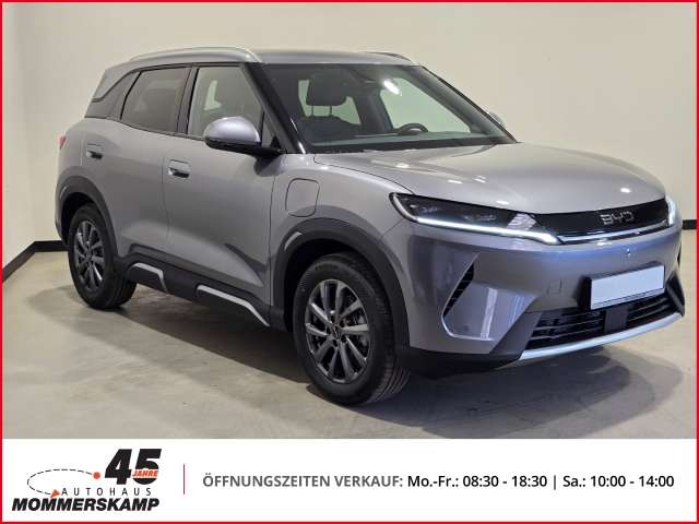 Fahrzeugbild eines BYD Atto 2