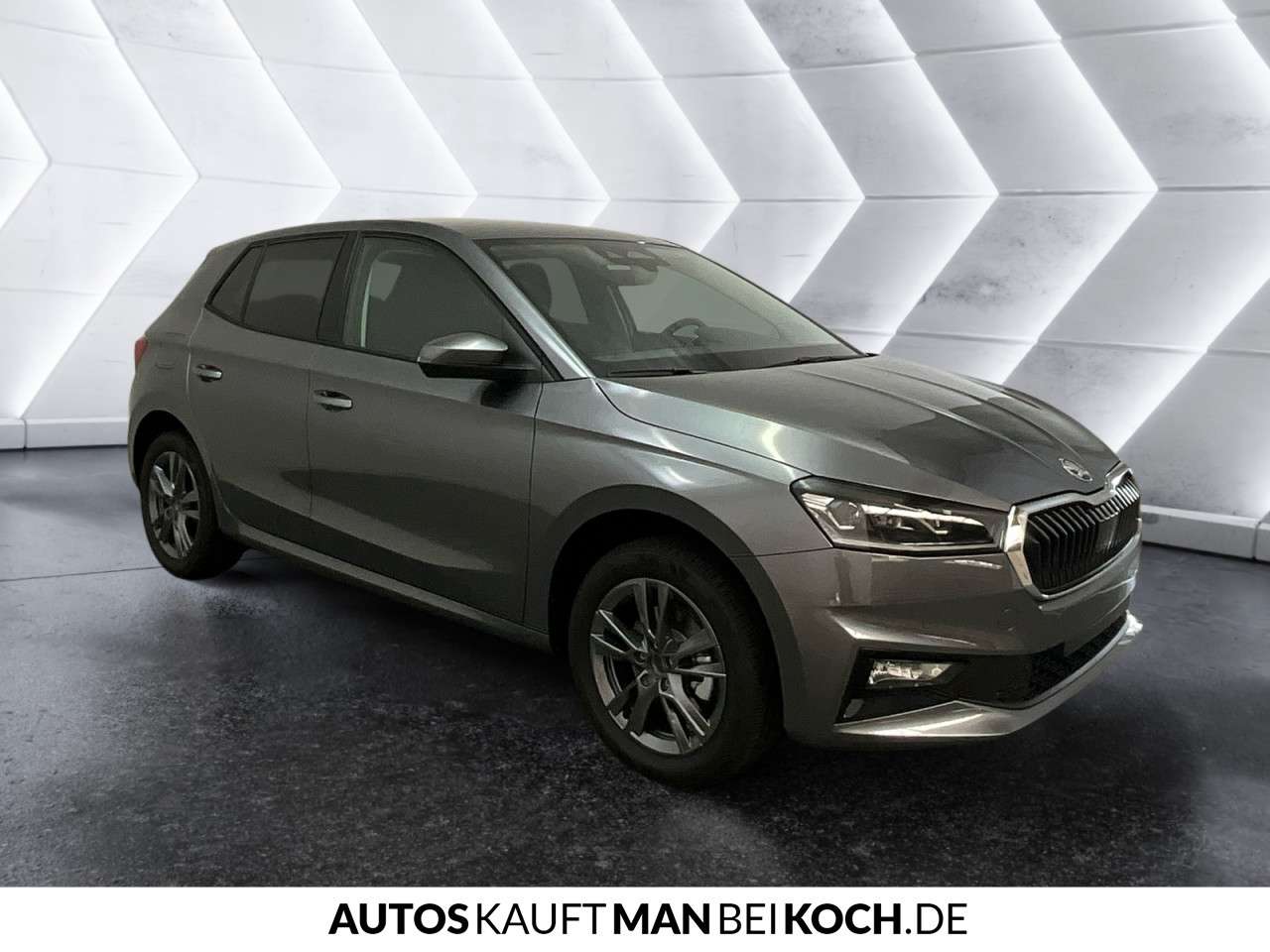 Fahrzeugbild eines Skoda Fabia