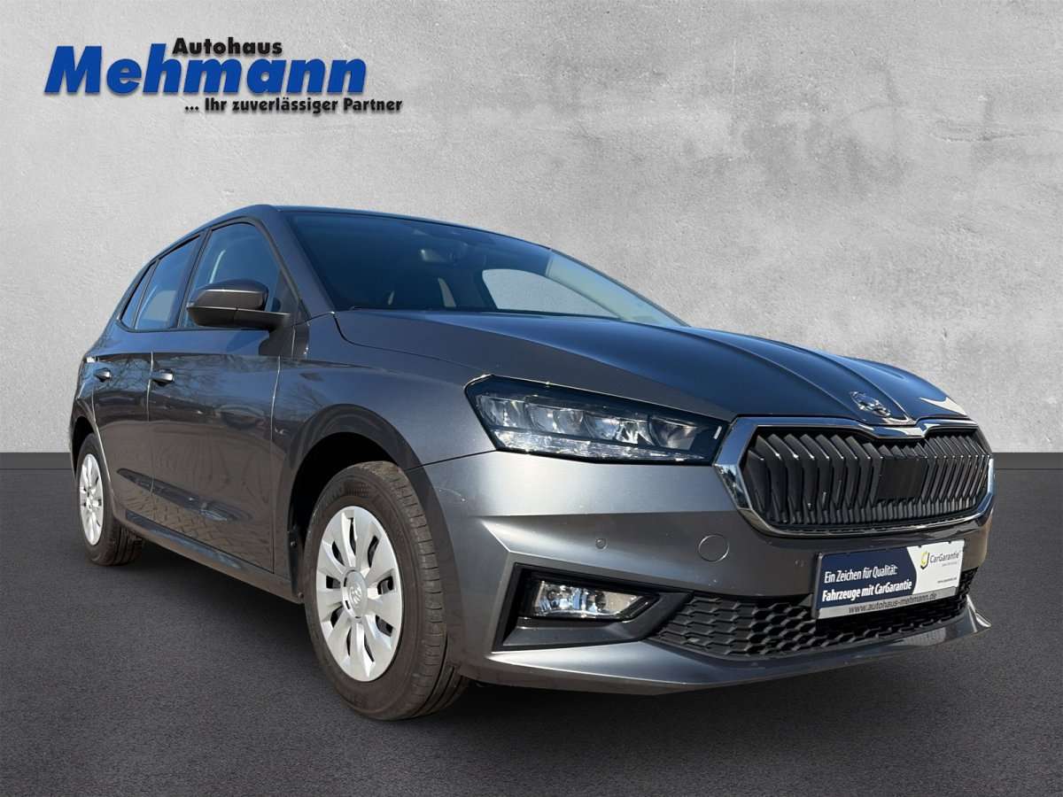 Fahrzeugbild eines Skoda Fabia