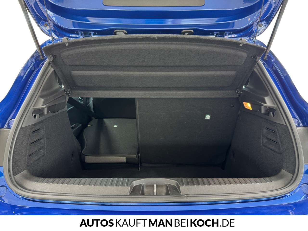 Fahrzeugbild eines Renault Clio