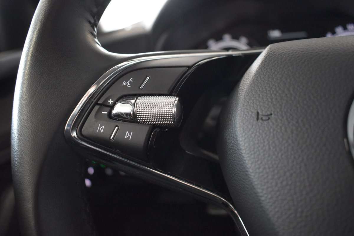 Fahrzeugbild eines Skoda Scala