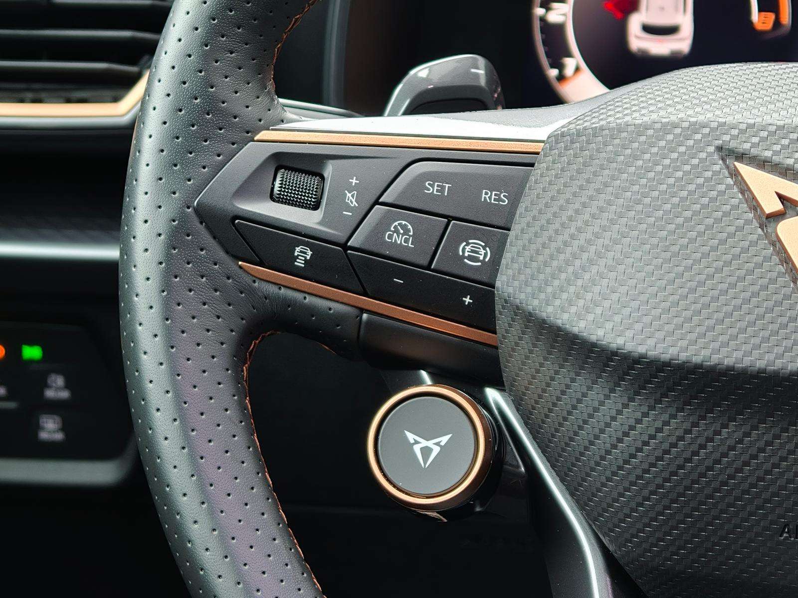 Fahrzeugbild eines CUPRA Formentor