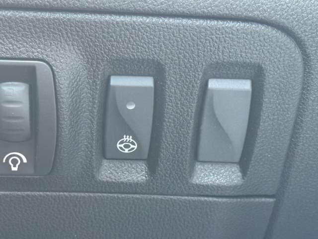 Fahrzeugbild eines Renault Mégane