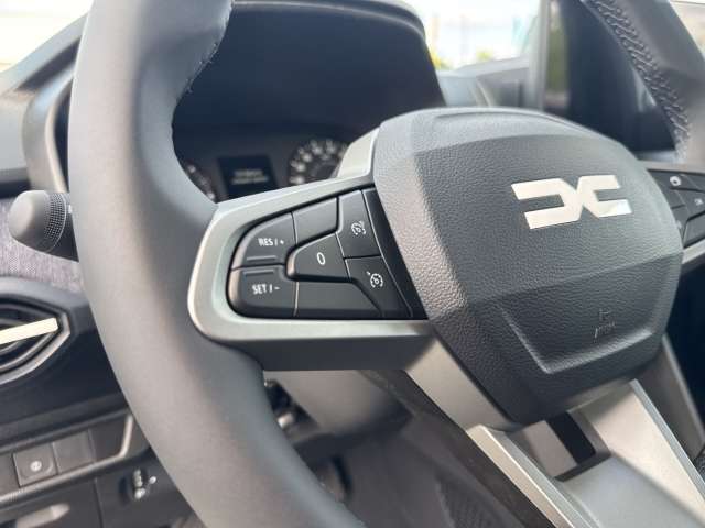 Fahrzeugbild eines Dacia Sandero