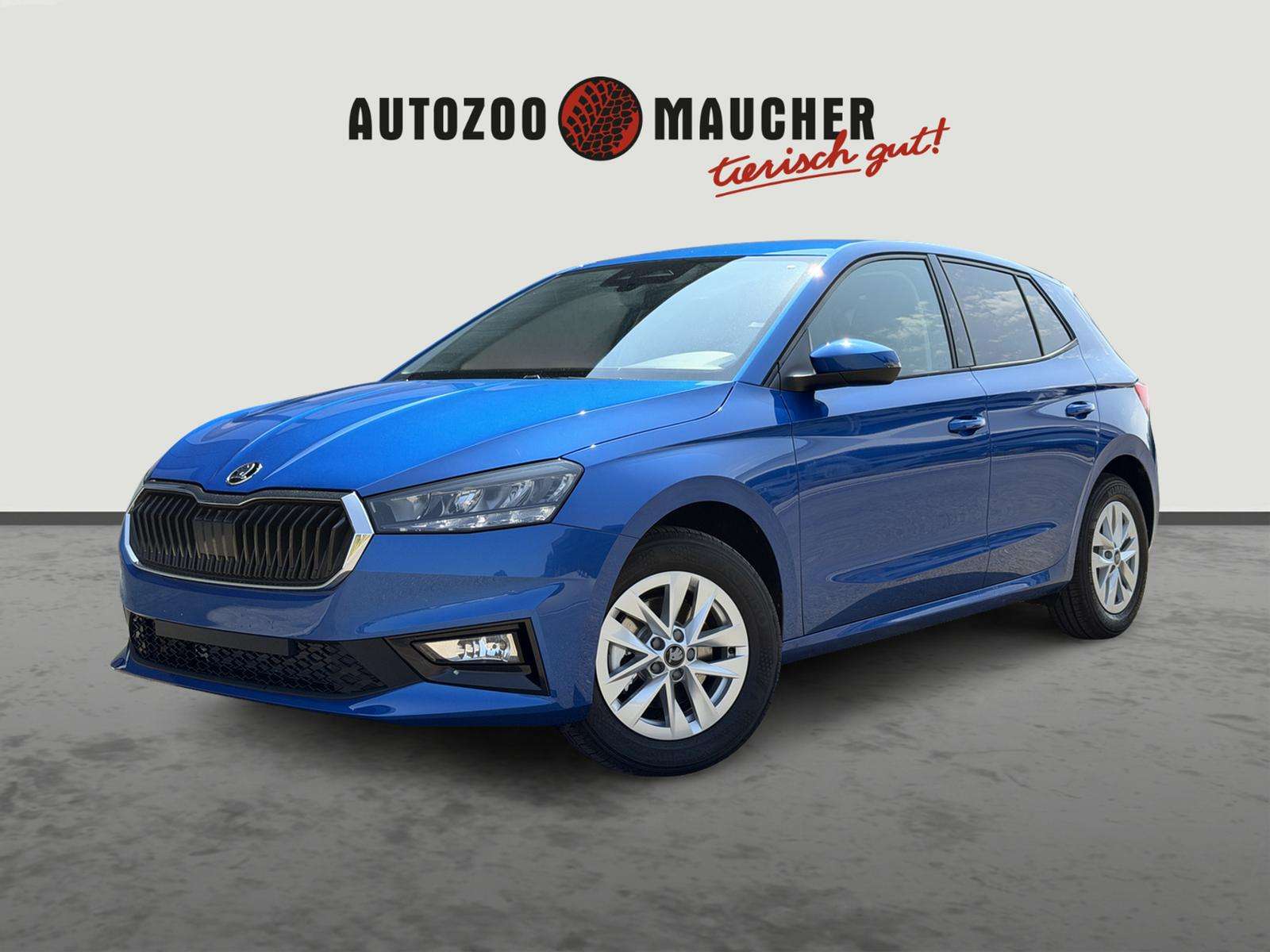 Fahrzeugbild eines Skoda Fabia
