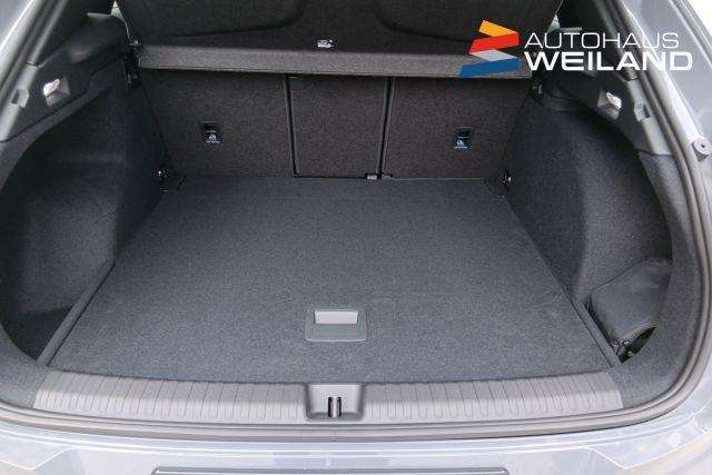 Fahrzeugbild eines CUPRA Terramar