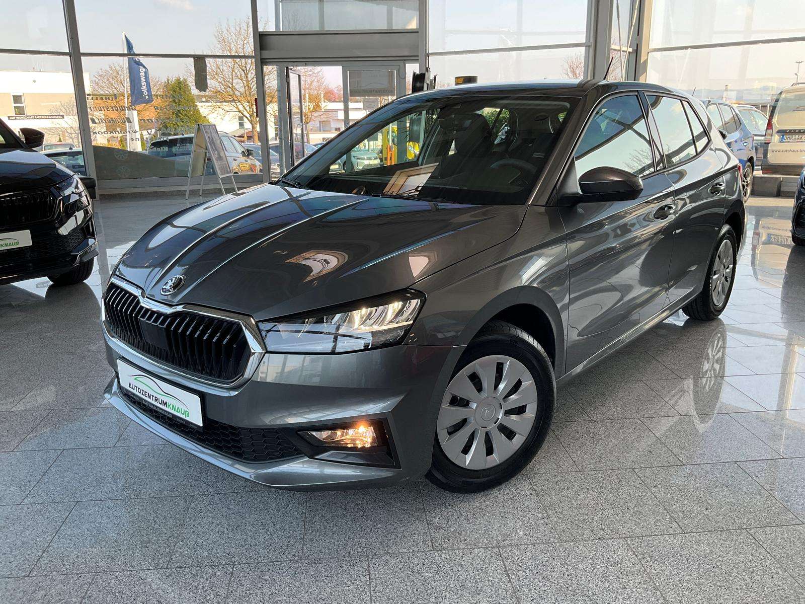 Fahrzeugbild eines Skoda Fabia