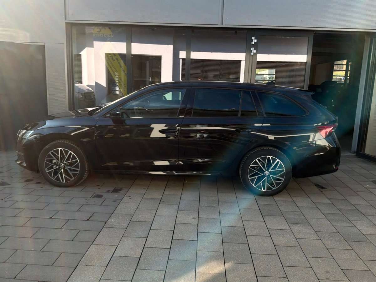 Fahrzeugbild eines Skoda Octavia