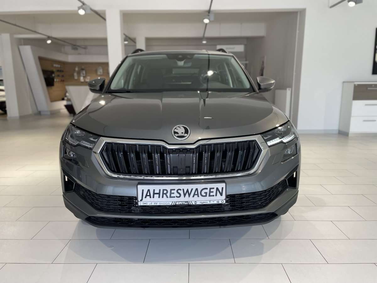 Fahrzeugbild eines Skoda Karoq