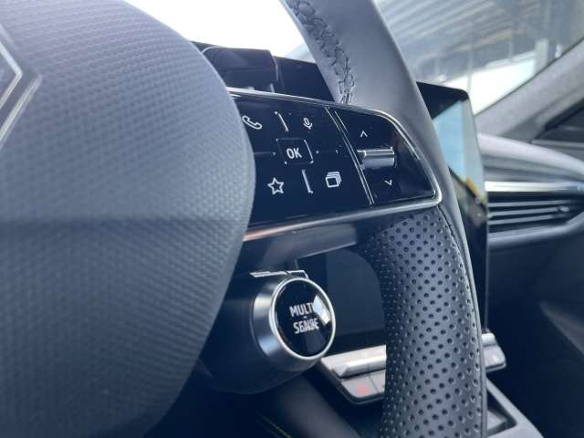 Fahrzeugbild eines Renault Scénic