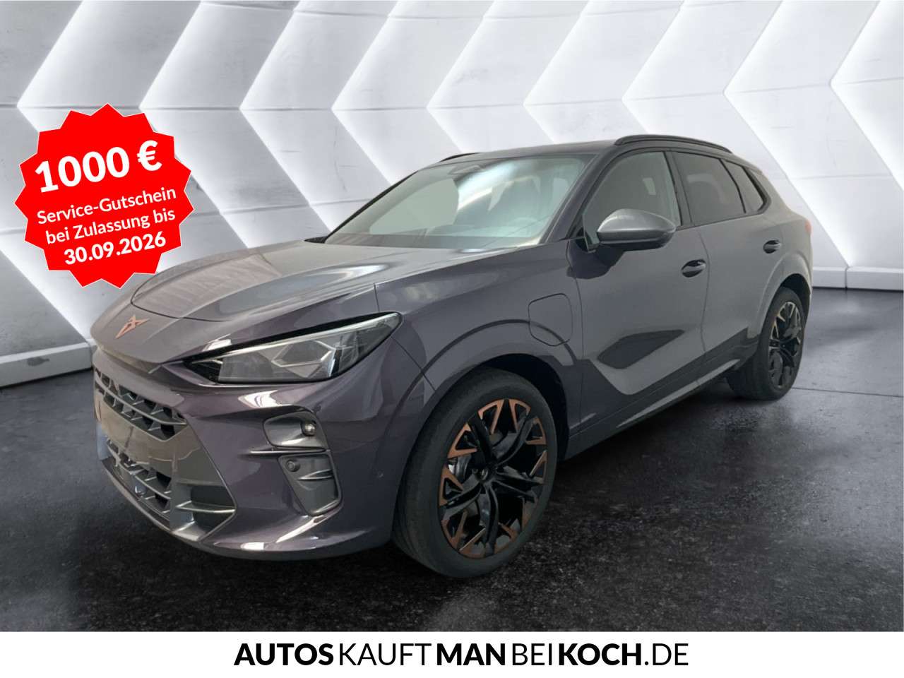 Fahrzeugbild eines CUPRA Terramar