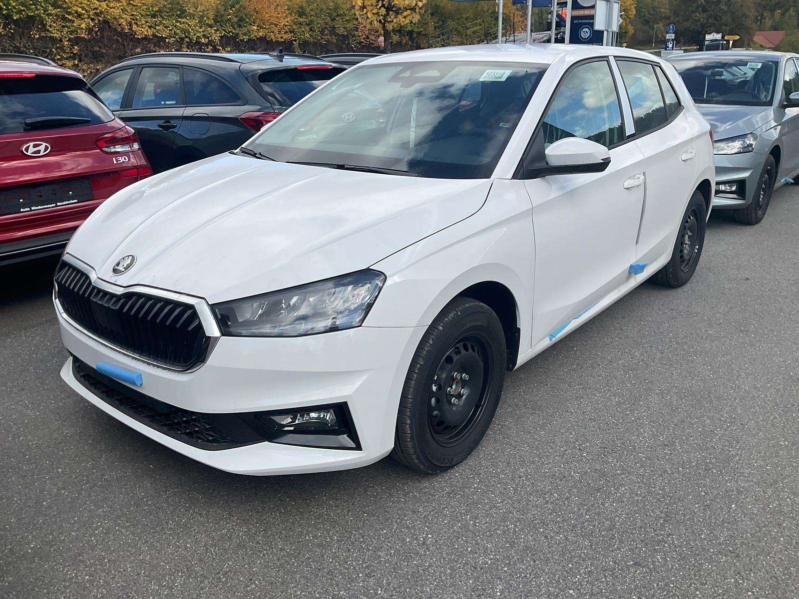 Fahrzeugbild eines Skoda Fabia