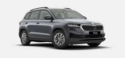 Bild Skoda Karoq