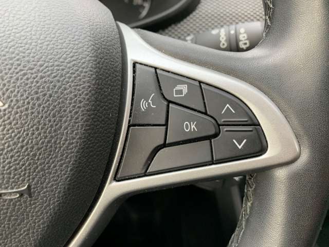 Fahrzeugbild eines Dacia Sandero