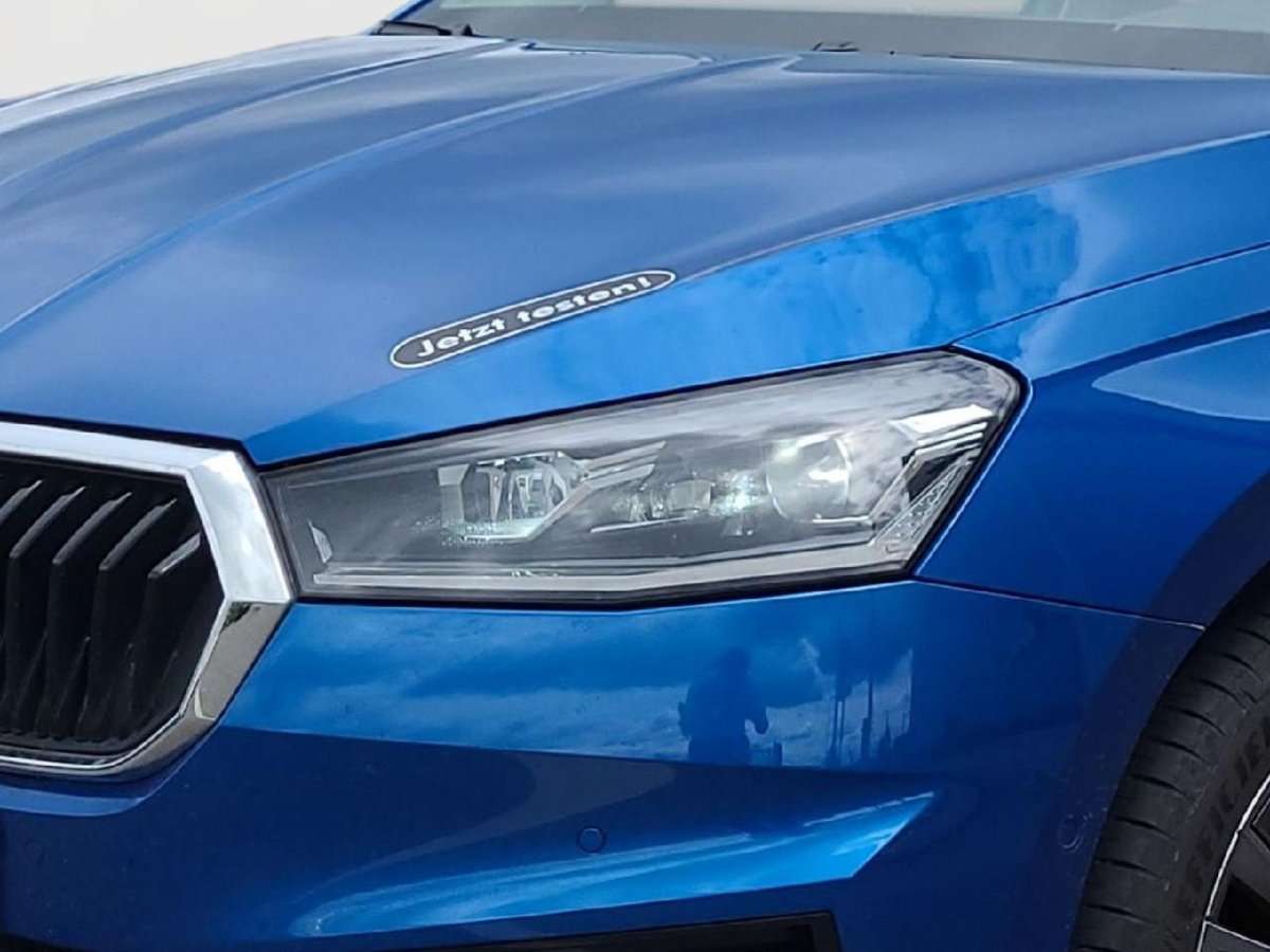 Fahrzeugbild eines Skoda Fabia