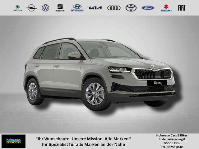Fahrzeugbild eines Skoda Karoq
