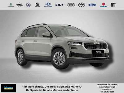 Bild Skoda Karoq