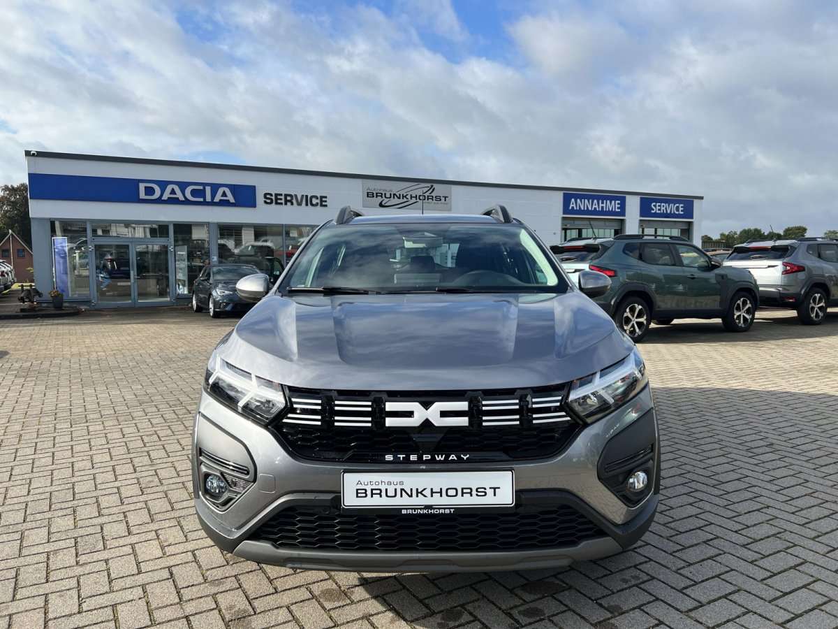 Fahrzeugbild eines Dacia Sandero