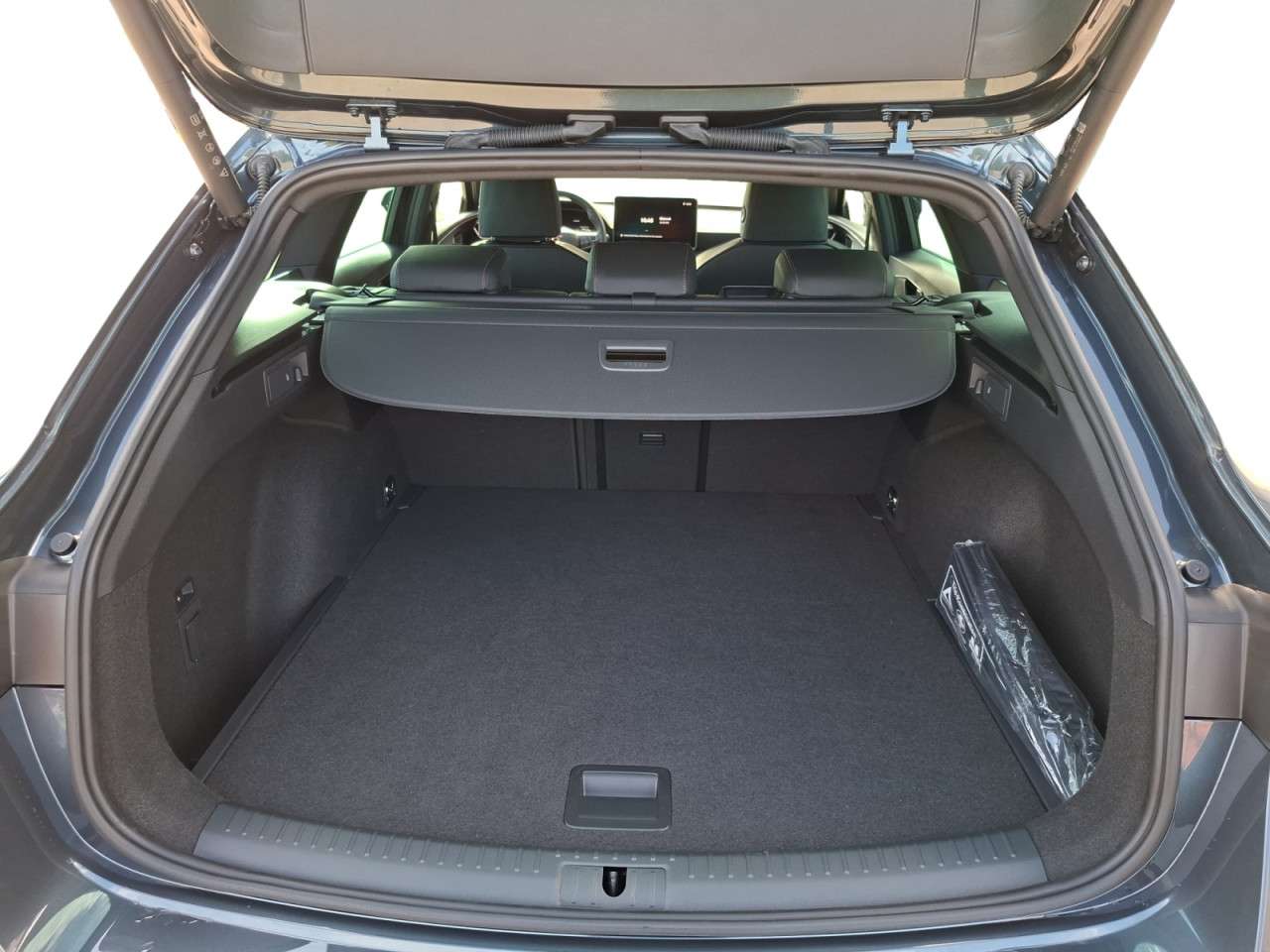 Fahrzeugbild eines CUPRA Leon