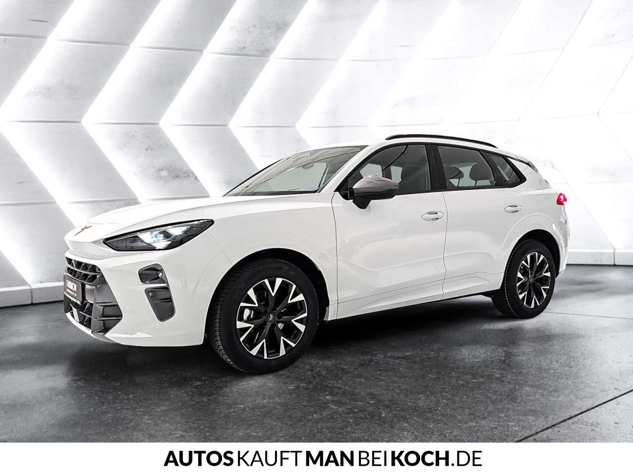 Fahrzeugbild eines CUPRA Terramar