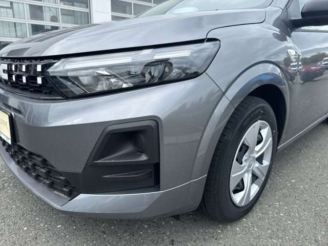 Fahrzeugbild eines Dacia Sandero