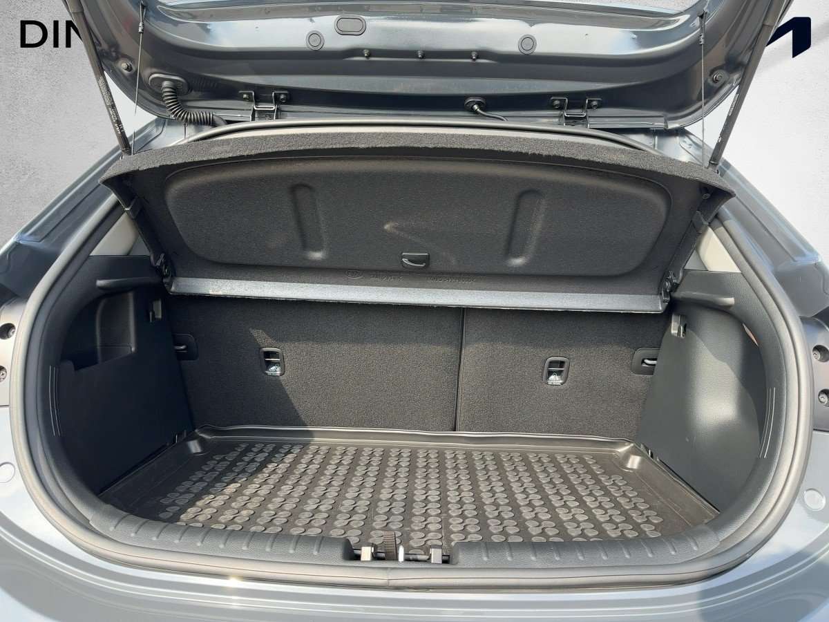 Fahrzeugbild eines Kia Rio
